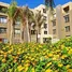 3 غرفة نوم شقة للإيجار في Palm Parks Palm Hills, South Dahshur Link, مدينة 6 أكتوبر