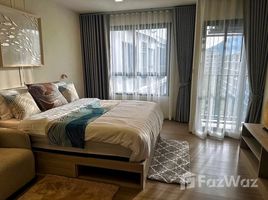 คอนโด 1 ห้องนอน ให้เช่า ในโครงการ ดีคอนโด รีฟ ภูเก็ต, กะทู้, กะทู้