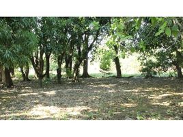  Land for sale in Guanacaste, Santa Cruz, Guanacaste