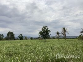  Grundstück zu verkaufen in Chai Badan, Lop Buri, Muang Khom, Chai Badan, Lop Buri, Thailand