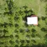  Land for sale in La Ceiba, Atlantida, La Ceiba