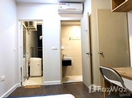 2 Phòng ngủ Chung cư for rent at An Gia Garden, Tân Sơn Nhì, Tân Phú