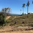  Land for sale in Na Mueang, Surat Thani, Na Mueang, Koh Samui