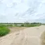  Land for sale in Ban Paeng, Phra Nakhon Si Ayutthaya, Ban Paeng, Bang Pa-In, Phra Nakhon Si Ayutthaya