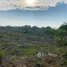  Land for sale in Phang Khon Sakon Nakhon, Ton Phueng, Phang Khon, Sakon Nakhon