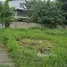  Land for sale in Pa Tan, Chiang Mai, Pa Tan, Mueang Chiang Mai, Chiang Mai, Thailand
