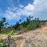 ขายที่ดิน ใน ตลิ่งงาม, สุราษฎร์ธานี, ตลิ่งงาม, เกาะสมุย, สุราษฎร์ธานี