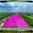 ขายที่ดิน ใน นิคมพัฒนา ระยอง, มะขามคู่, นิคมพัฒนา, ระยอง