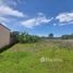  Land for sale in Atenas Alajuela, Atenas