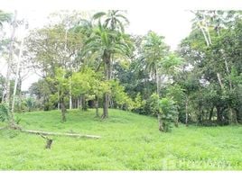  Terrain for sale in Limon, Limon, Limon