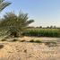  Terrain à vendre à Al Rahba., Al Muneera, Al Raha Beach, Abu Dhabi, Émirats arabes unis