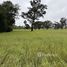 ขายที่ดิน ใน หนองบัว, ศรีสะเกษ, หนองบัว, กันทรารมย์, ศรีสะเกษ, ไทย