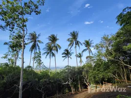 ขายที่ดิน ใน หน้าเมือง, สุราษฎร์ธานี, หน้าเมือง, เกาะสมุย