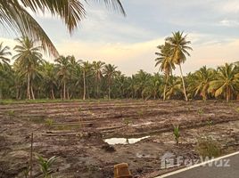  Grundstück zu verkaufen in Amphawa, Samut Songkhram, Tha Kha, Amphawa, Samut Songkhram