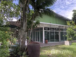 在FazWaz.cn出租的1 卧室 商店, 晟泰雷, 塔朗, 普吉, 泰国