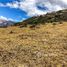  Terrain for sale in Loja, Vilcabamba Victoria, Loja, Loja