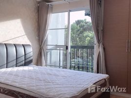 2 спален Квартира на продажу в S1 Asset Condominium, Nong Pa Khrang, Mueang Chiang Mai, Чианг Маи