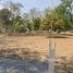  Land for sale in San Kamphaeng, Chiang Mai, San Kamphaeng, San Kamphaeng