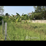  Land for sale in Nonthaburi, Sai Ma, Mueang Nonthaburi, Nonthaburi