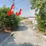  Land for sale in Mueang Pathum Thani, Pathum Thani, Bang Khu Wat, Mueang Pathum Thani