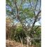  Land for sale in Nicoya, Guanacaste, Nicoya