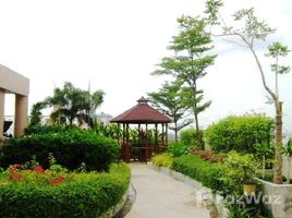 1 Habitación Departamento en alquiler en Fragrant 71, Phra Khanong Nuea