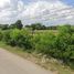  Terrain for sale in Udon Thani, Nong Phai, Mueang Udon Thani, Udon Thani