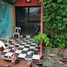  Land for sale in Lam Luk Ka Pathum Thani, Lat Sawai, Lam Luk Ka, Pathum Thani