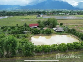 ขายที่ดิน ใน เชียงดาว, เชียงใหม่, เชียงดาว