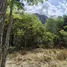  Land for sale in Mu Si, Nakhon Ratchasima, Mu Si, Pak Chong