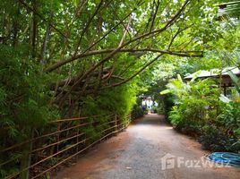  Grundstück zu verkaufen in Koh Samui, Surat Thani, Maenam, Koh Samui
