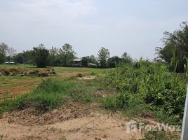 在清莱出售的 土地, Nang Lae, Mueang Chiang Rai, 清莱