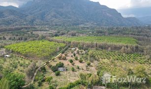 N/A Land for sale in Chiang Dao, Chiang Mai 