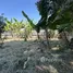  Land for sale in Pattaya Chon Buri, Nong Prue, Pattaya, Chon Buri