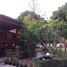 7 Bedrooms House for sale in Ban Kat, Chiang Mai 3 Houses In 1 Rai Land For Sale In San Pa Tong