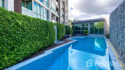 Photos 1 of the Communal Pool at Hilltania Condominium