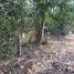  Земельный участок for sale in Ban Lueam, Удонтани, Ban Lueam, Mueang Udon Thani, Удонтани