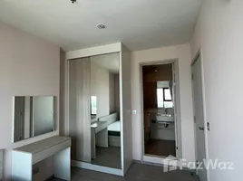 คอนโด 1 ห้องนอน ให้เช่า ในโครงการ แอสปาย เอราวัณ ไพร์ม, ปากน้ำ, เมืองสมุทรปราการ