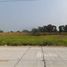  Land for sale in Nong Suea, Pathum Thani, Bueng Bon, Nong Suea