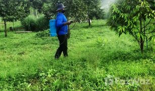 碧差汶 Bung Namtao N/A 土地 售 