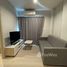Studio Condo for rent at The Prime Residence, Paya Terubong, Timur Laut Northeast Penang
