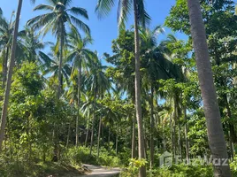  Land for sale in Bo Phut, Surat Thani, Bo Phut, Koh Samui