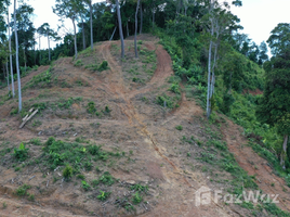  Land for sale in Ratsada, Phuket Town, Ratsada