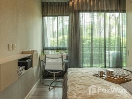 在Pause Sukhumvit 103租赁的2 卧室 公寓, 曼那