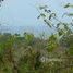 N/A Terreno (Parcela) en venta en , Guanacaste 5104 - Cool breezes, great view - this is your lot!:Santo Domingo lot with views and teak trees, Santa Domingo, Guanacaste