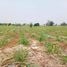  Land for sale in Suphan Buri, Nong Krathum, Doem Bang Nang Buat, Suphan Buri