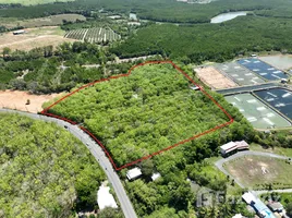 ขายที่ดิน ใน ป่าคลอก, ภูเก็ต, ป่าคลอก, ถลาง, ภูเก็ต, ไทย