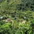 在哥斯达黎加出售的 土地, Perez Zeledon, San Jose, 哥斯达黎加