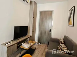 ขายอพาร์ทเม้นท์ 1 ห้องนอน ในโครงการ ไนท์บริดจ์ ไพร์ม อ่อนนุช, พระโขนงเหนือ, วัฒนา