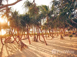 ขายที่ดิน ในโครงการ บาบา บีช คลับ ภูเก็ต, โคกกลอย, ตะกั่วทุ่ง, พังงา, ไทย